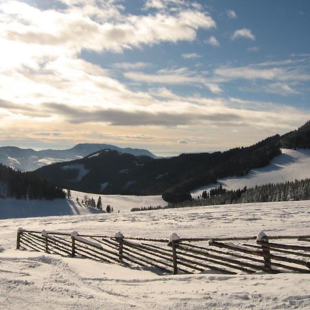 Heidi'S Schlummerkiste Am Fuss Der Teichalm Breitenau am Hochlantsch Esterno foto