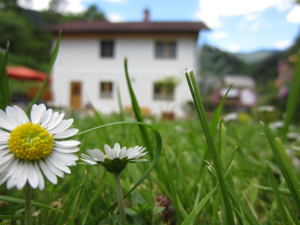Heidi'S Schlummerkiste Am Fuss Der Teichalm Breitenau am Hochlantsch Esterno foto