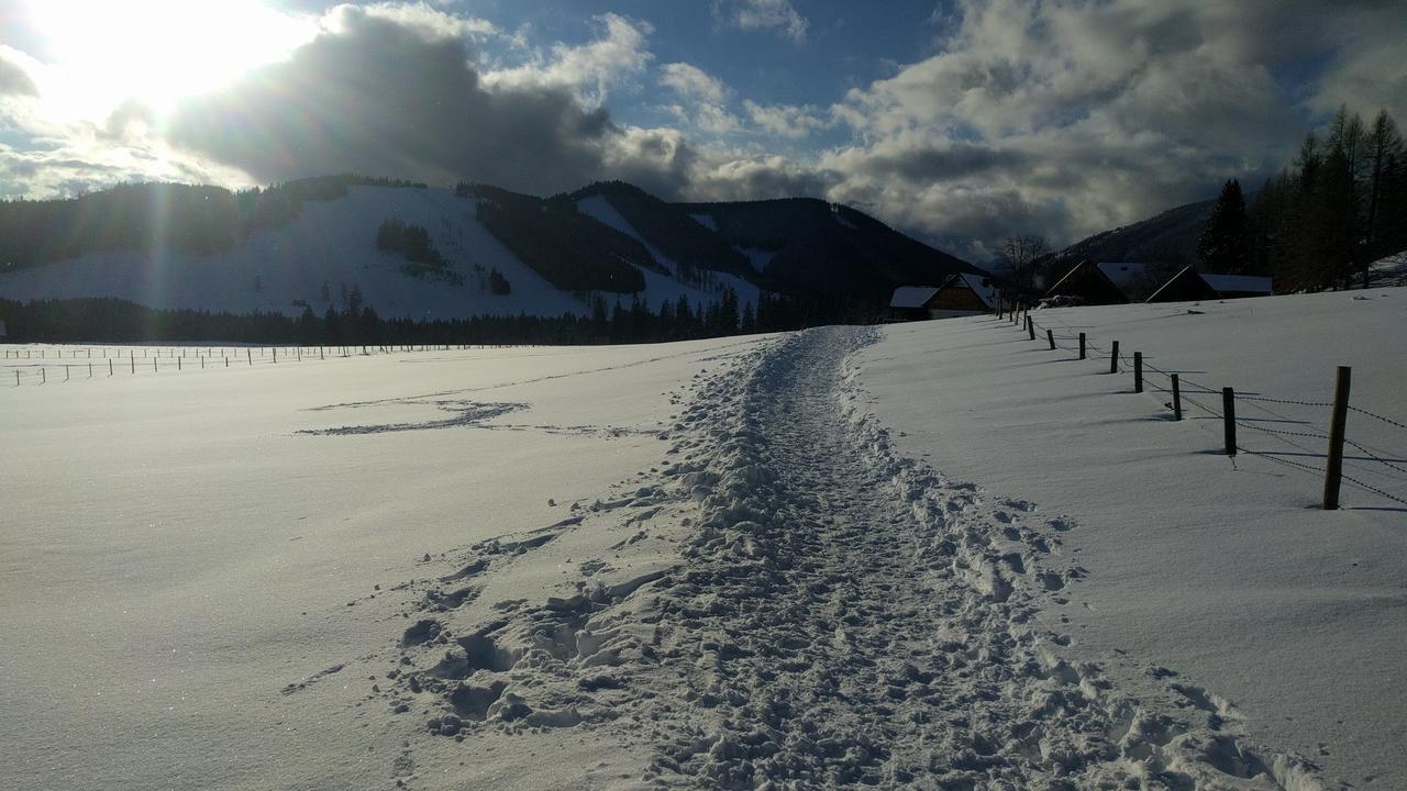 Heidi'S Schlummerkiste Am Fuss Der Teichalm Breitenau am Hochlantsch Esterno foto