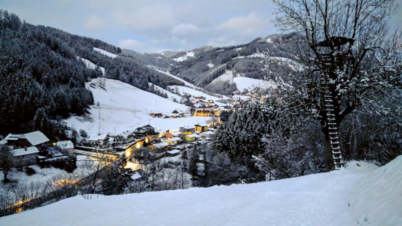 Heidi'S Schlummerkiste Am Fuss Der Teichalm Breitenau am Hochlantsch Esterno foto